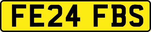 FE24FBS