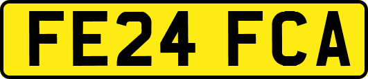 FE24FCA