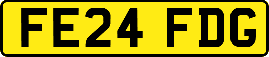 FE24FDG