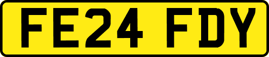 FE24FDY