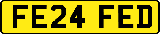 FE24FED