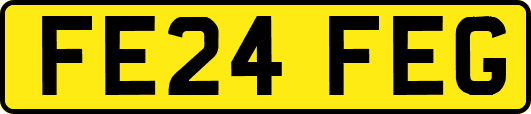 FE24FEG