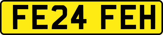 FE24FEH