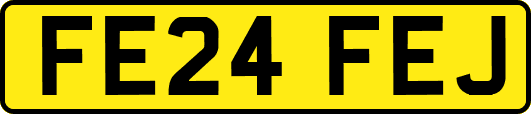 FE24FEJ