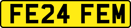 FE24FEM