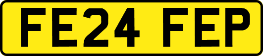 FE24FEP