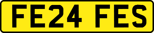 FE24FES