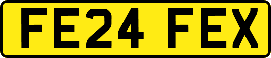 FE24FEX