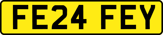 FE24FEY