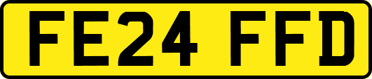 FE24FFD