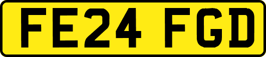 FE24FGD