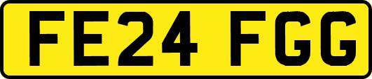 FE24FGG
