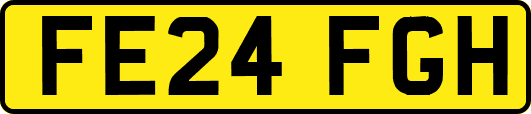FE24FGH