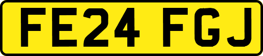 FE24FGJ