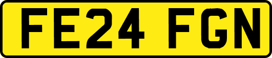 FE24FGN