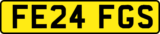 FE24FGS