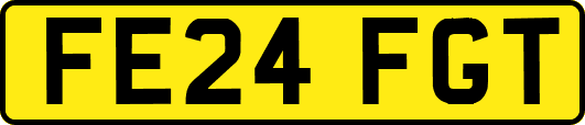 FE24FGT