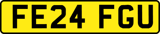 FE24FGU