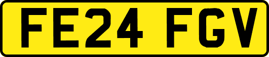FE24FGV