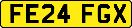 FE24FGX