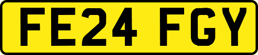 FE24FGY