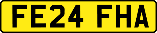 FE24FHA
