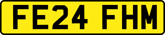 FE24FHM