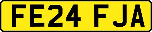 FE24FJA