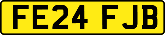 FE24FJB