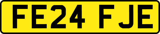 FE24FJE