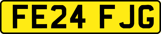FE24FJG