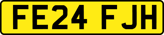 FE24FJH