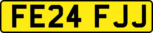 FE24FJJ