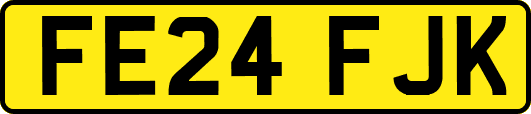 FE24FJK