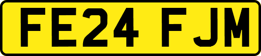 FE24FJM