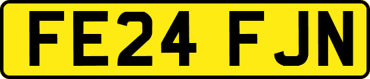 FE24FJN