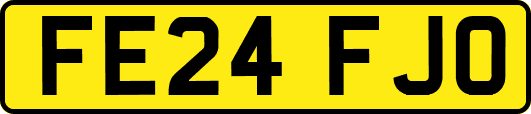 FE24FJO