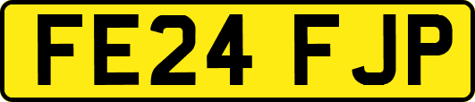 FE24FJP