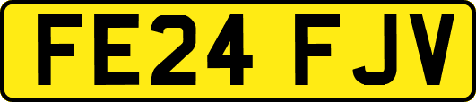 FE24FJV
