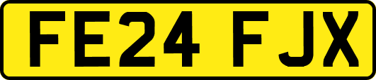 FE24FJX