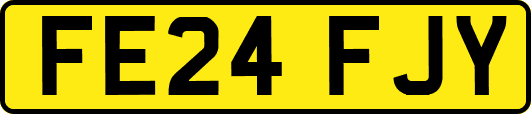 FE24FJY