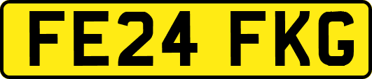 FE24FKG
