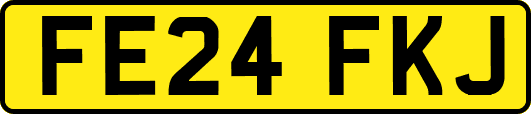 FE24FKJ