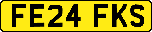 FE24FKS