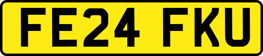 FE24FKU