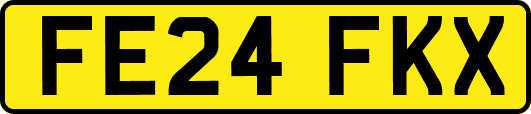 FE24FKX