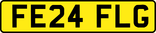 FE24FLG