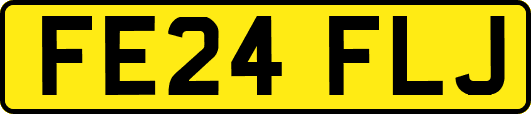 FE24FLJ