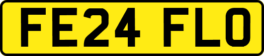 FE24FLO