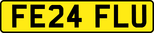 FE24FLU